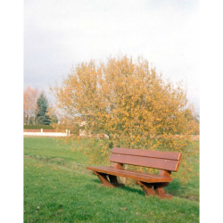 Banc public en béton Forestier aspect bois